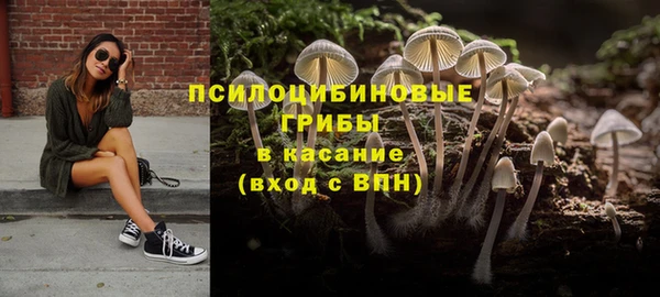 а пвп мука Бежецк