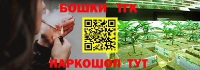 гашик Дубна