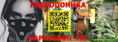 гашик Дубна