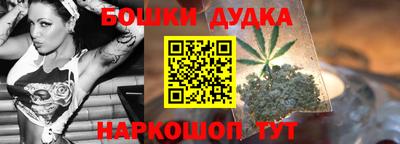 гашик Дубна