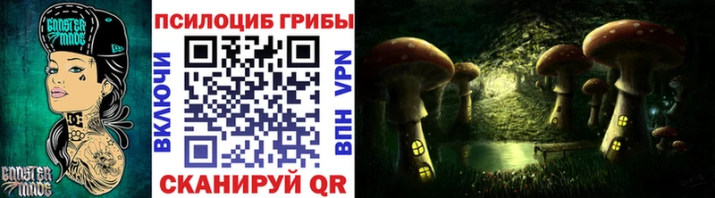 darknet телеграм Лабинск Псилоцибиновые грибы Psilocybe