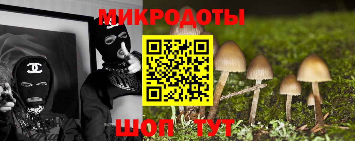 Галлюциногенные грибы прущие грибы Лабинск
